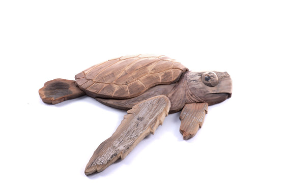 Beach Wood Turtle - Large