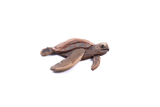 Beach Wood Turtle - Small