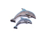 Beach Wood Dolphin - Small